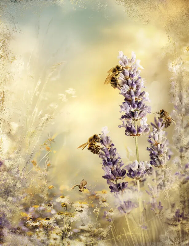 Honey Mountain Lavender Prompts for Claude - Image 4